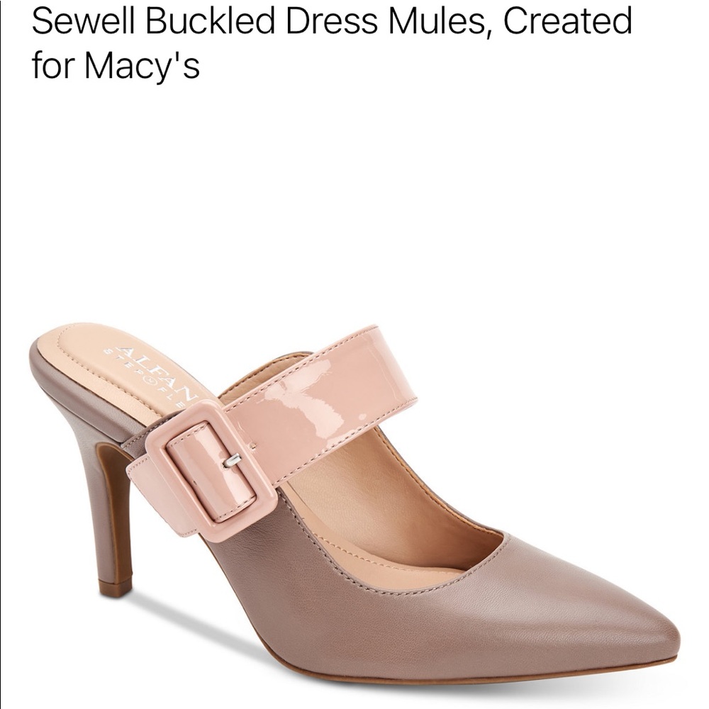 Swell Buckled Dress Mules NWOT